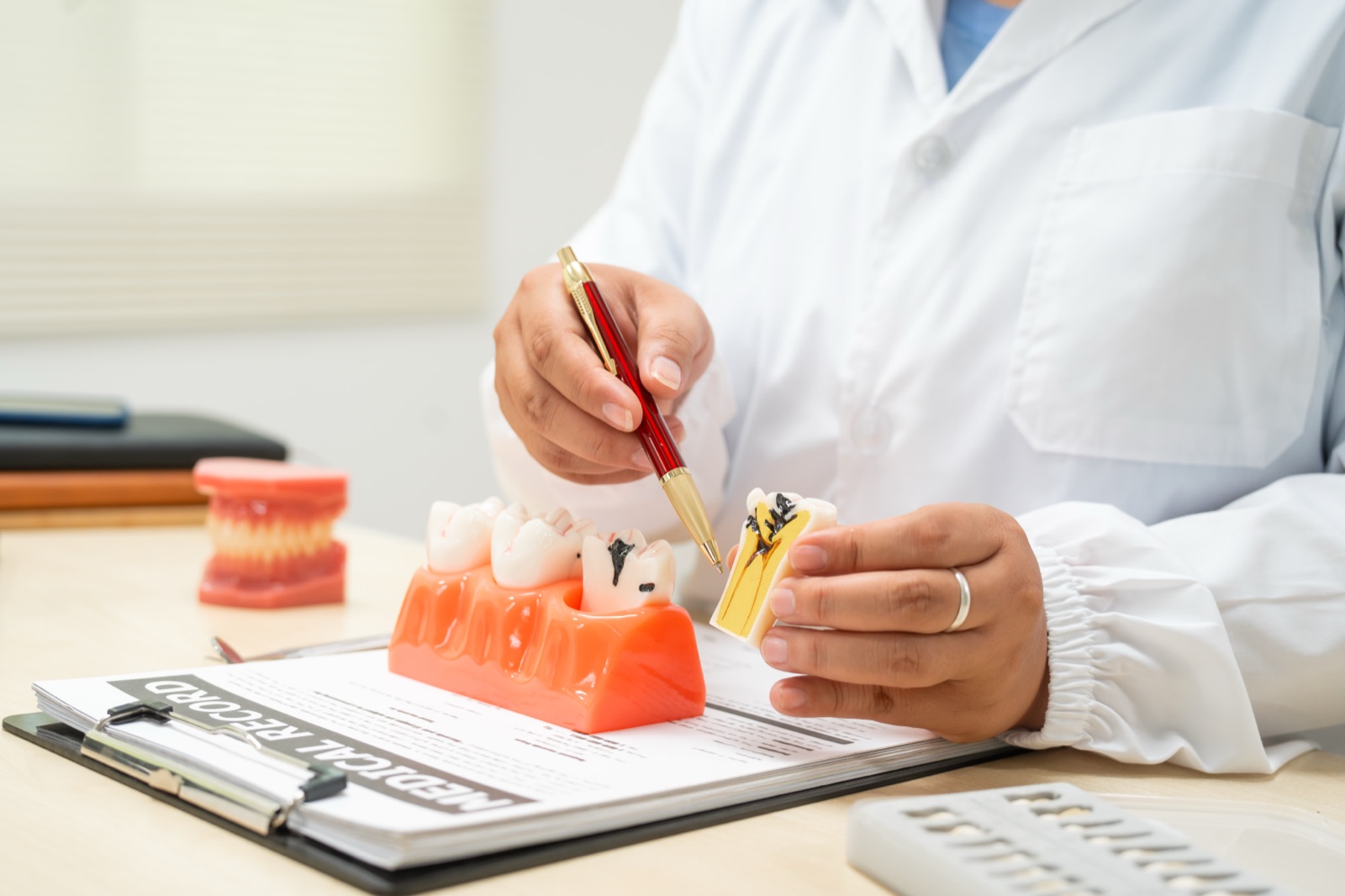 Dentist explaining care with tooth models