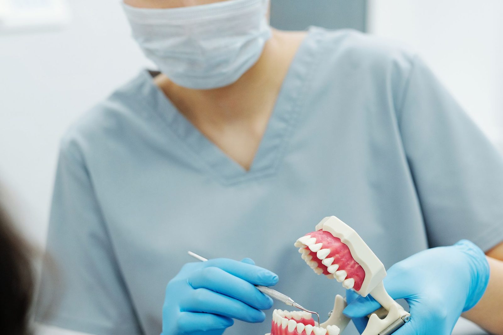 Hygienist demonstrating brushing on a dental model